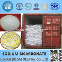 sodium bicarbonate 80mesh(food grade)